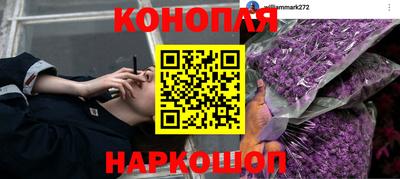 ECSTASY Бугуруслан