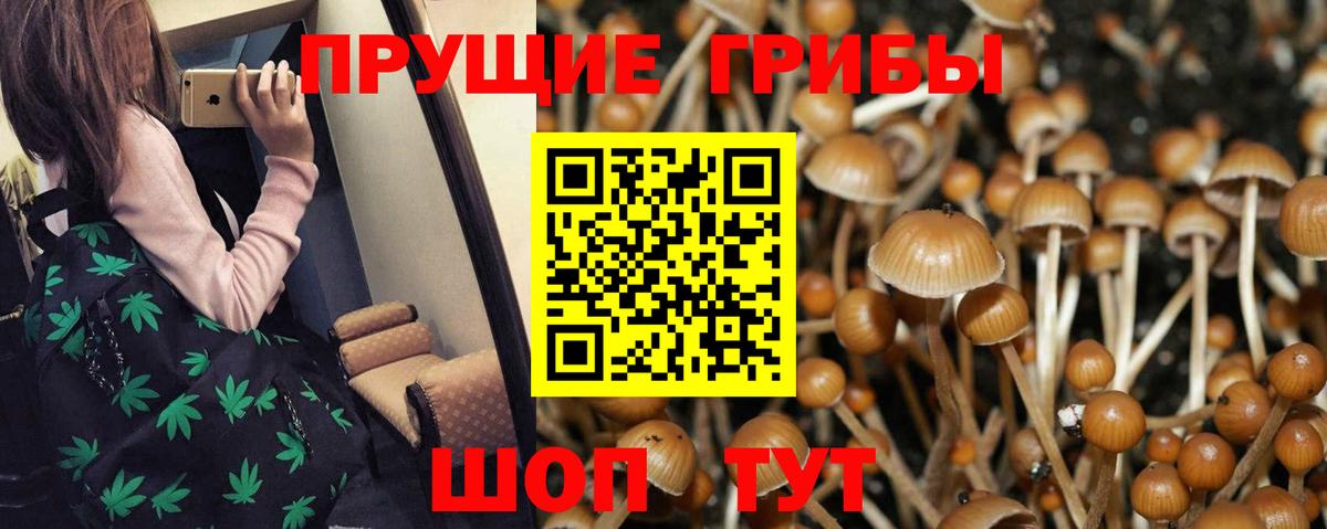 цены   Псилоцибиновые грибы Cubensis  Галлюциногенные грибы Cubensis  Вход с VPN  Кузнецк 